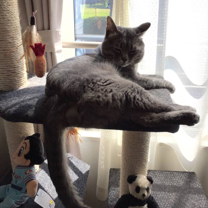 481d70fd 0ef1 417b 890f 17a0afe9c601