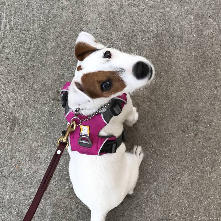 481e4b2a 5234 40c6 8bfa 02359010d509