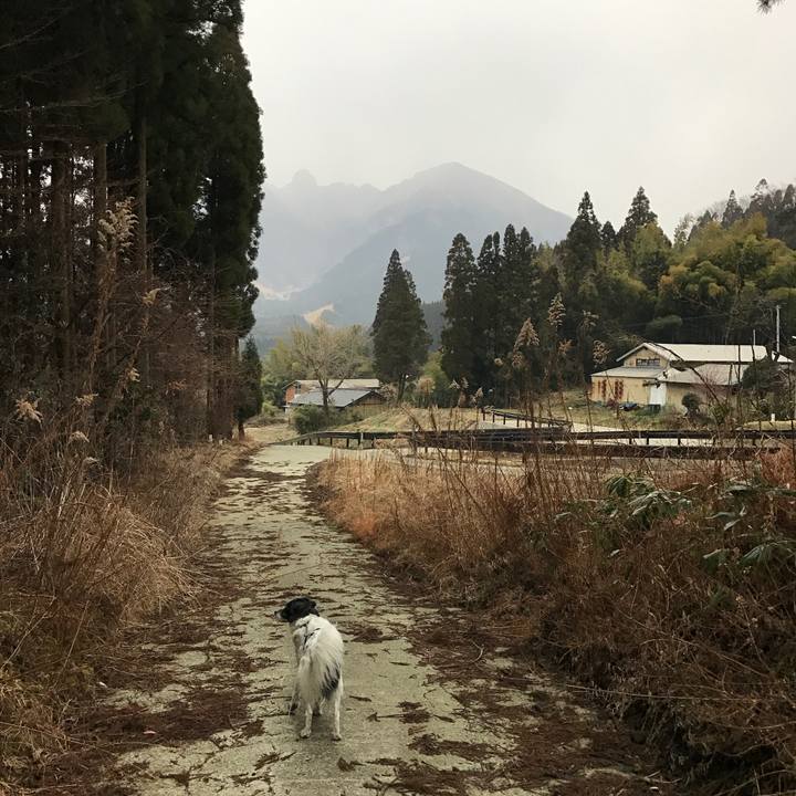 481e5f84 476f 47ab b80a a4c1ca35a19c