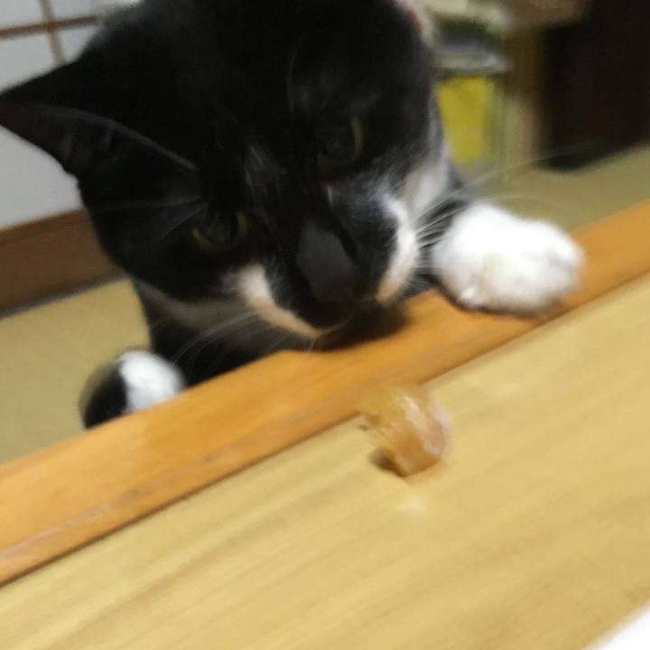 481e9edc 2c95 4ee8 ae4d 052bdec60197