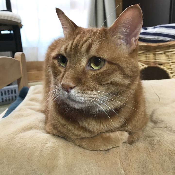 481f6e68 cb37 4128 ad92 8ef00ad24307