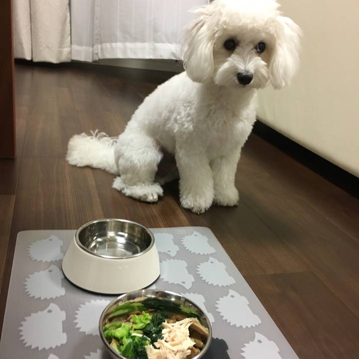 482060b4 e224 4c75 bcc9 60af7494b8ad