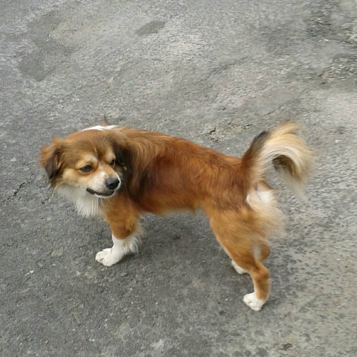 48207c3b 6214 4455 9fab ed7db035f991