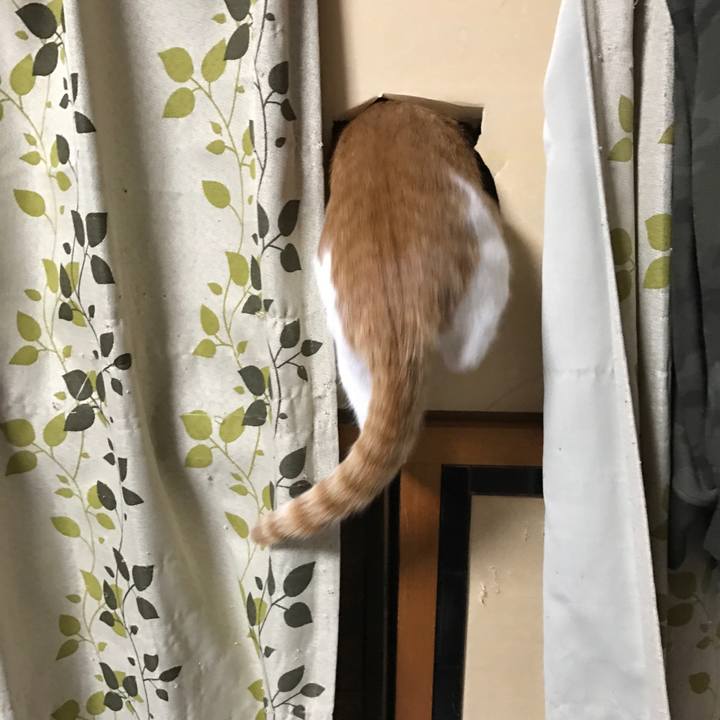 4820adc4 dab1 4fee 9cc3 6c91f0ca436f