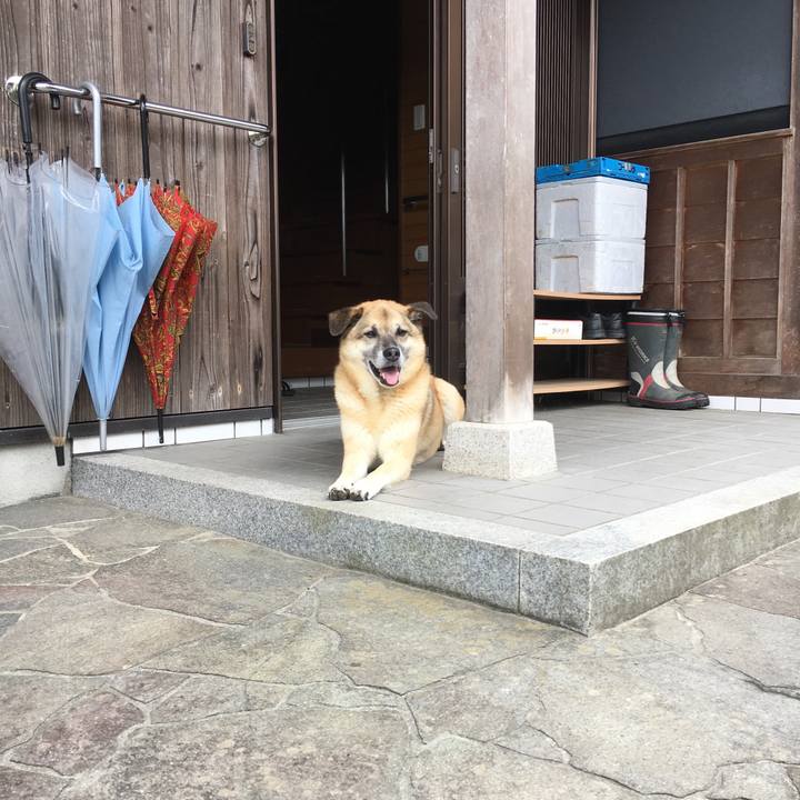 48210df7 f634 4362 bbe0 3ecfac67911e