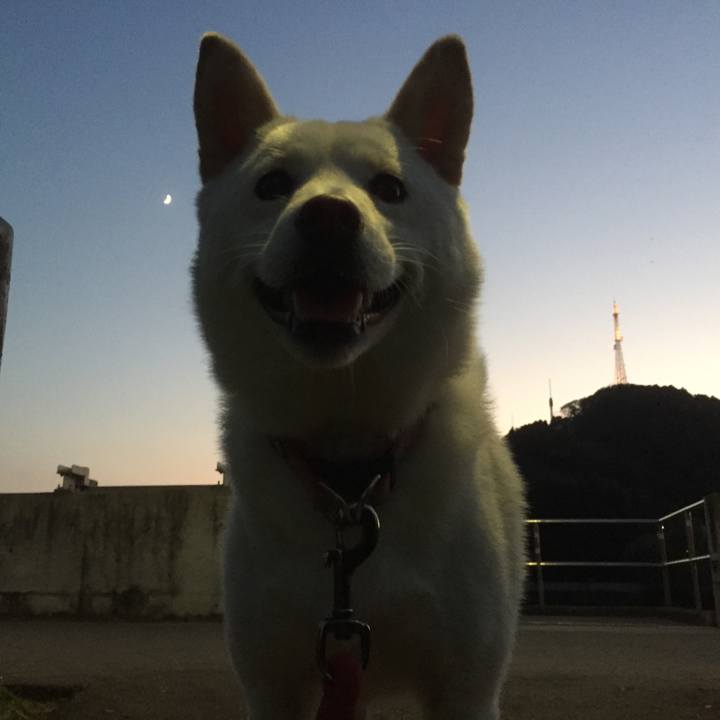 4821100a 9861 43de b30b 4204820c24bb