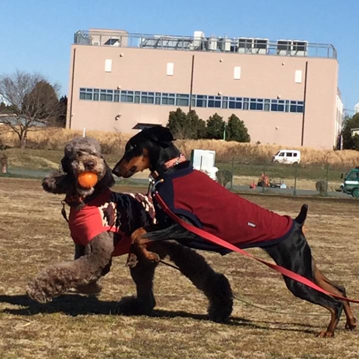 48211a68 e766 4672 8b88 00fd43b5e5f2