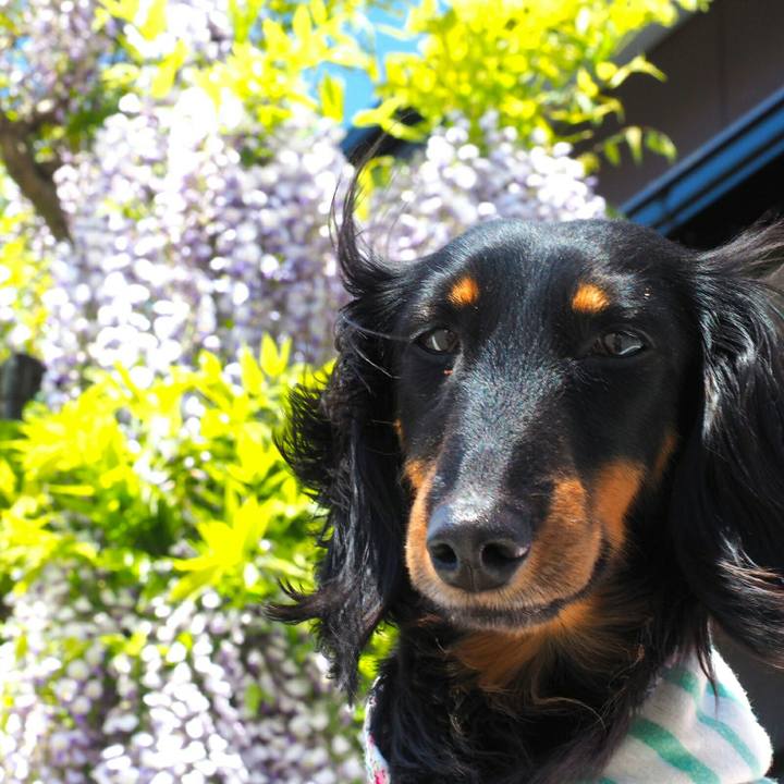 48211e36 cdac 424e 9f2f 1b324f89f70b