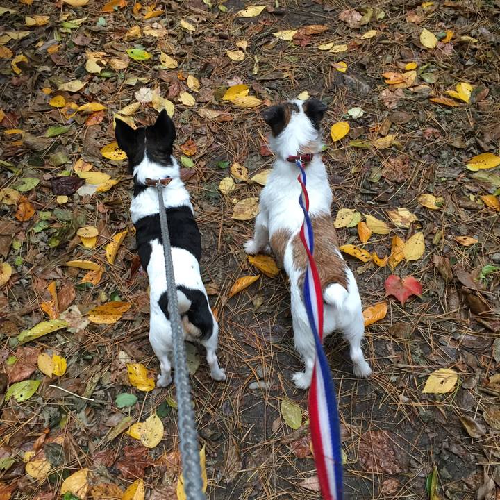 4821267a e0f6 4e3b a7b5 da629fcdbb23