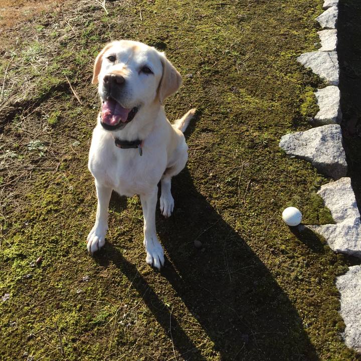 482157fd 24a2 4f30 bf64 fcd5faf51562