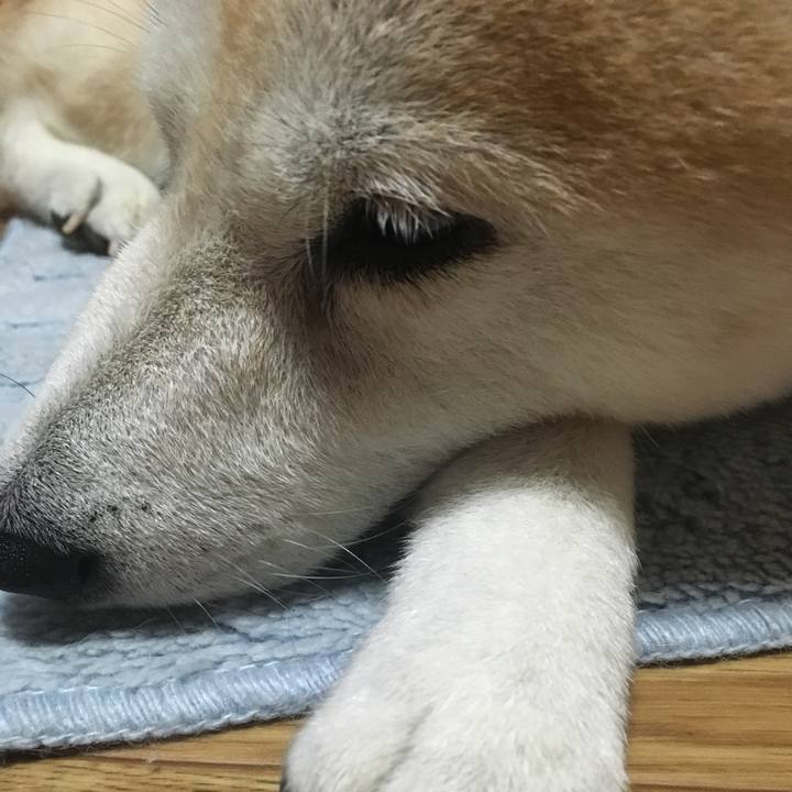 4821fd21 d433 4168 9fe9 5e55479ec64c