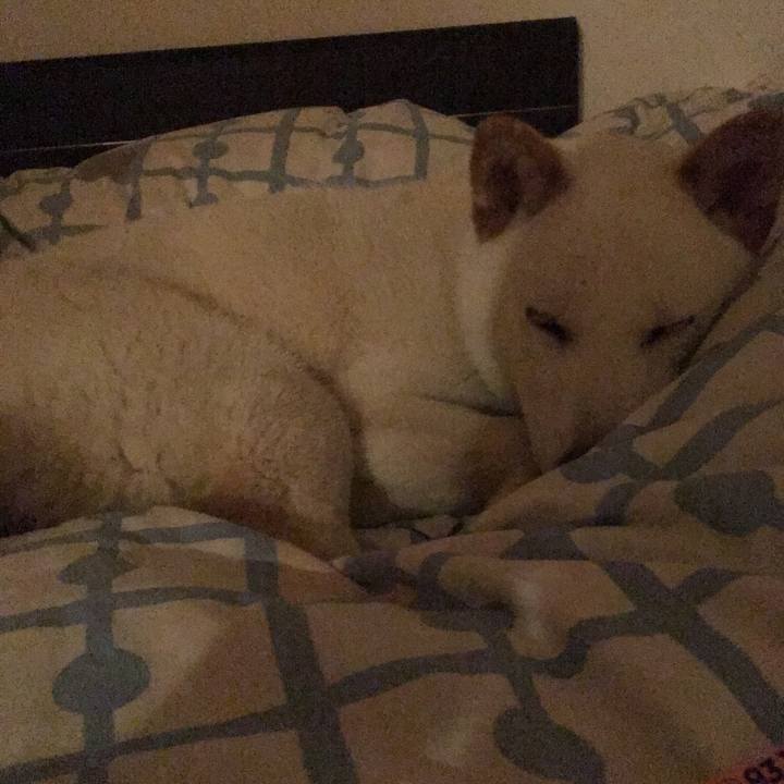 48222412 bf7c 444d abe1 b5edf0c19788