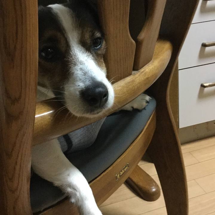 4823229a ba38 43c1 9ea2 2b0262126a4b