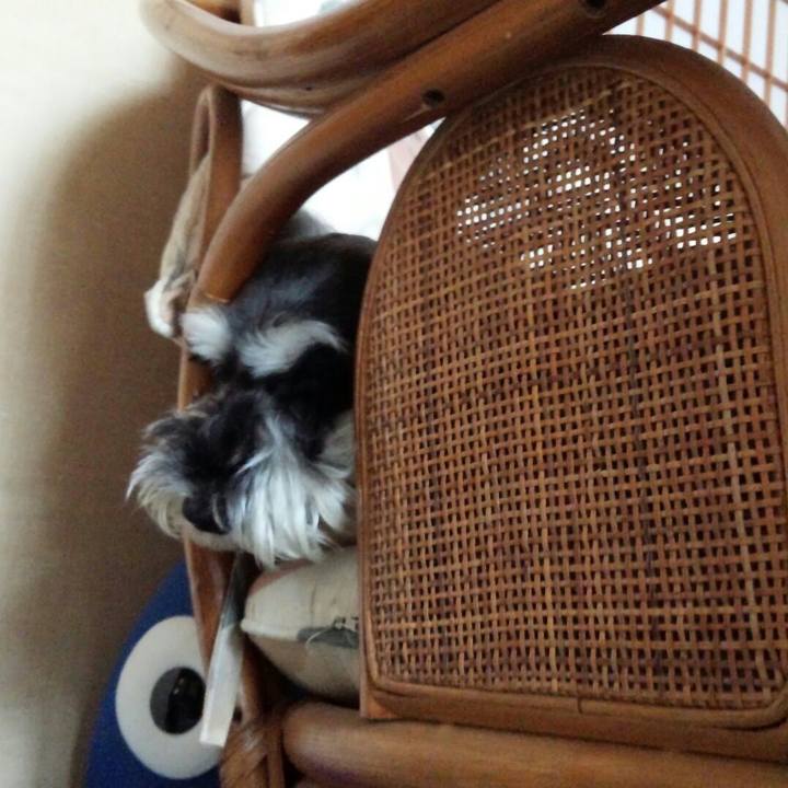 48234b6c 4dcb 40a0 a892 0b464bf1e100