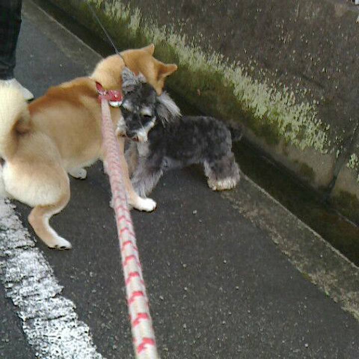 48235e82 5615 46ea 9f2a cb53f8b7ddb9