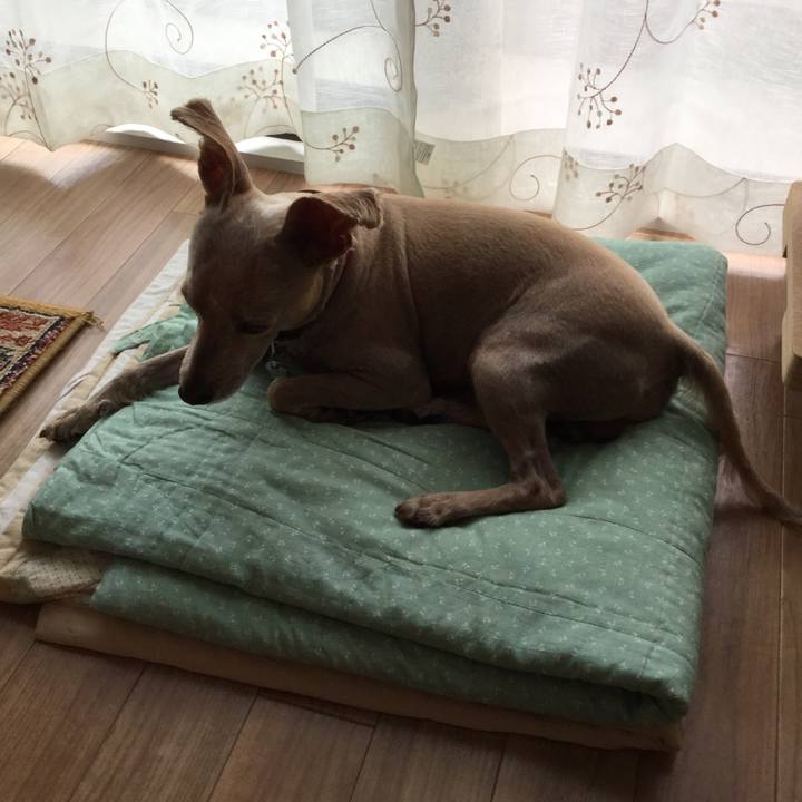 4823d7de 0961 4469 84b5 6777ebb97773