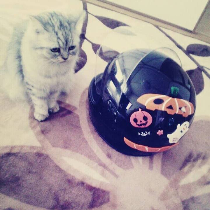 4823da20 0bcf 4d9c 9f82 b6a9c000339e