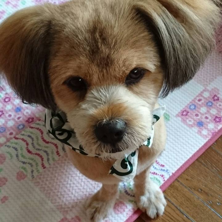 48242669 4edb 4660 96ae 7ef3e4fd9fd7