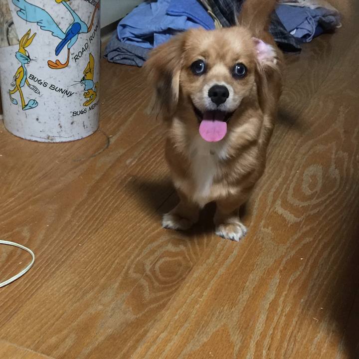 482449ed 8ed9 4596 be6d 6f73ed35d3d3