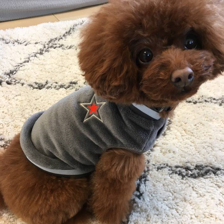 4824531e e4f2 445b bf48 547bdb1cb9d2