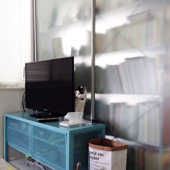 4824ac5b 3daf 4d35 9af3 40916474f3fc