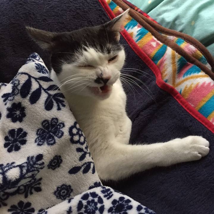 4824d5e3 778e 495d b2e0 f0cfa3accd9e