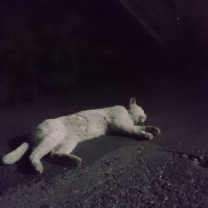 4824ec5d 9fbd 43b4 b886 6075dfec0600