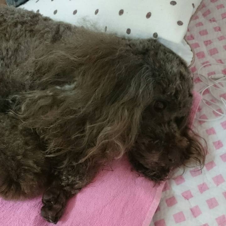 48250ce1 8563 470e 9a44 888616b637d5