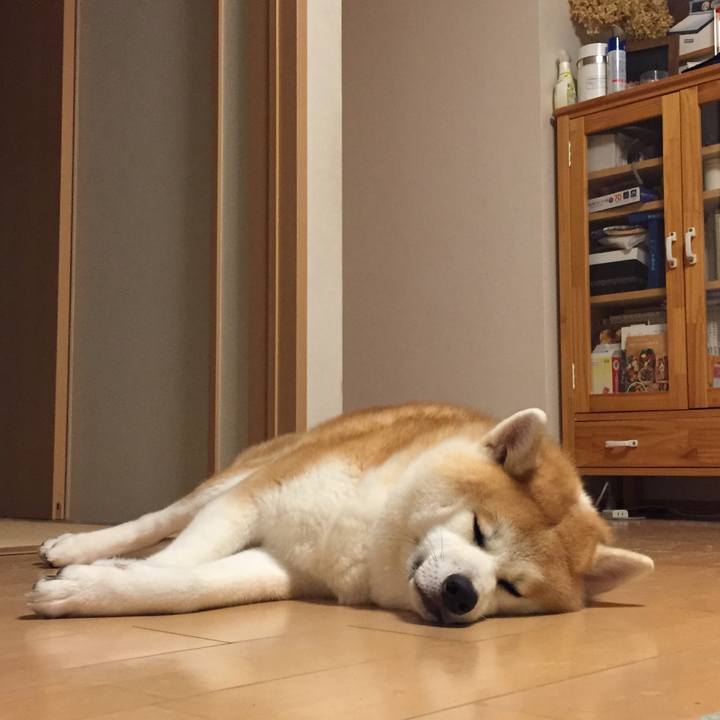 48255b66 4bf3 4215 8b33 409ce599e6ff