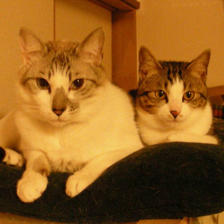 4826385d 81d1 4135 8669 75c99ad832ed