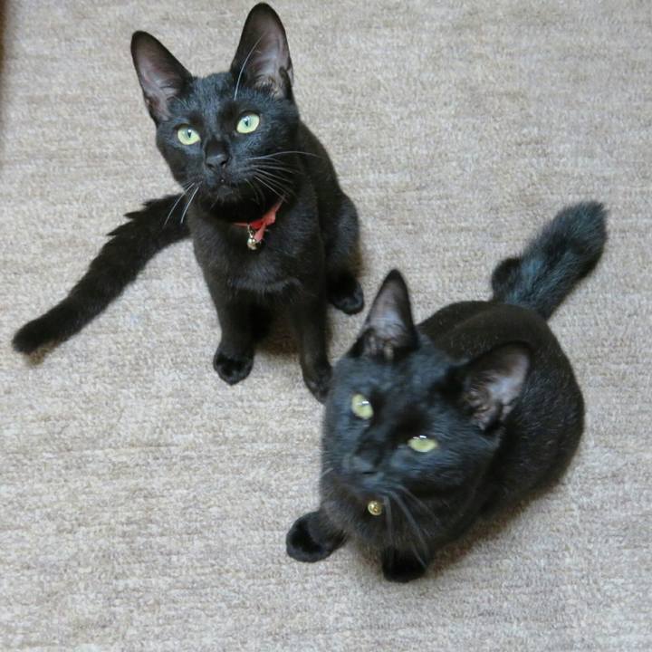 48264513 66c4 4c1d 9c39 4eafbe7a4e3e