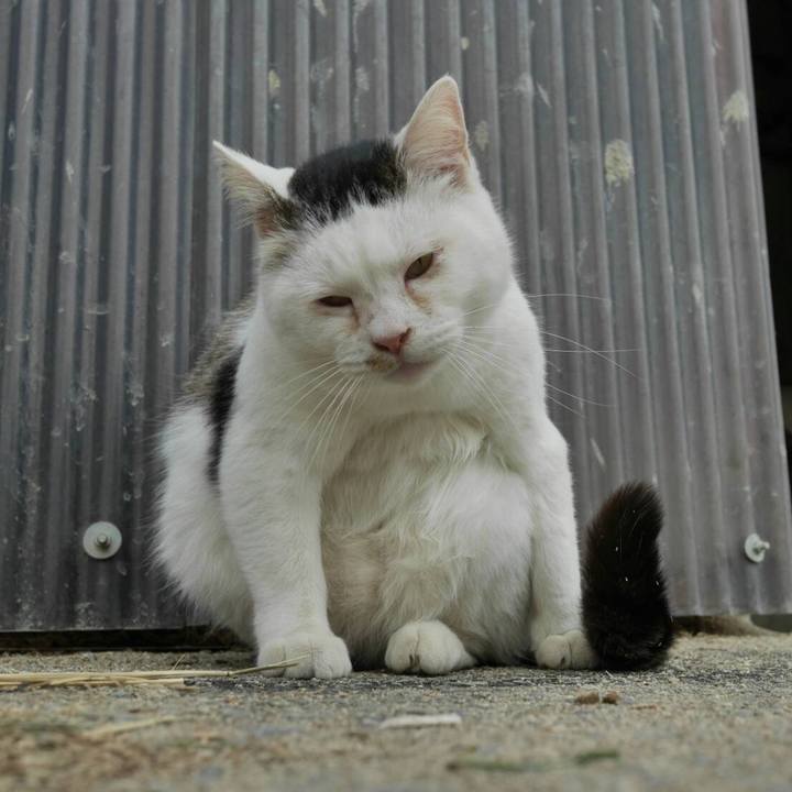 48269cd2 7351 4174 903f d400e42643e4