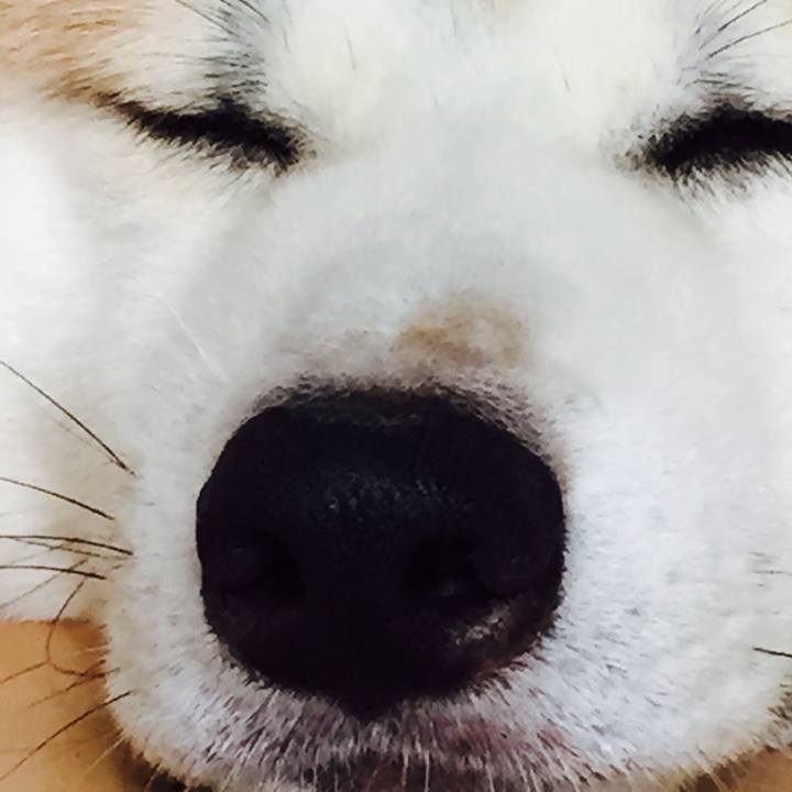 4827138d bc55 4ea3 8440 dc84335cfa1e