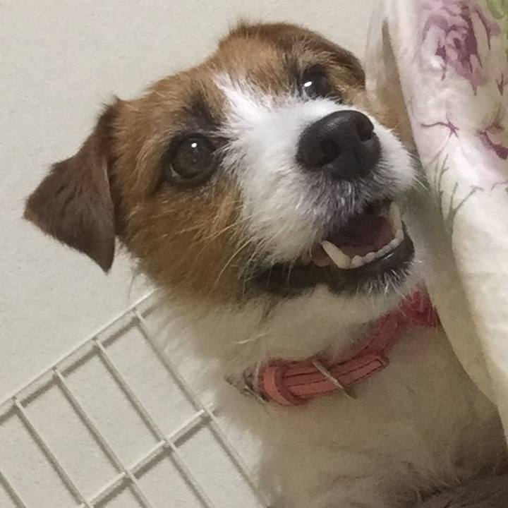 482715e4 b191 4339 b61f 68bf186562a3