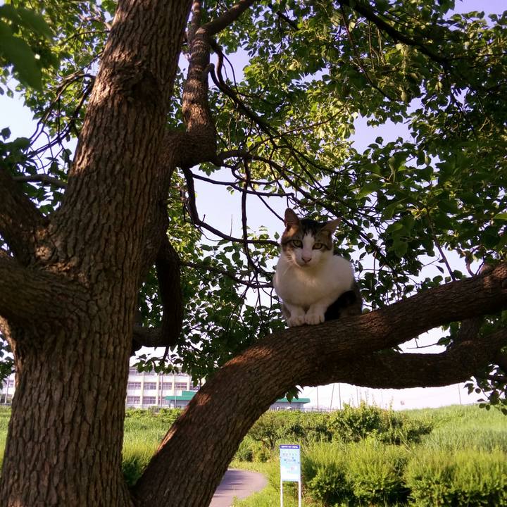 48277585 d8ee 45c1 873f 4e55e058d295