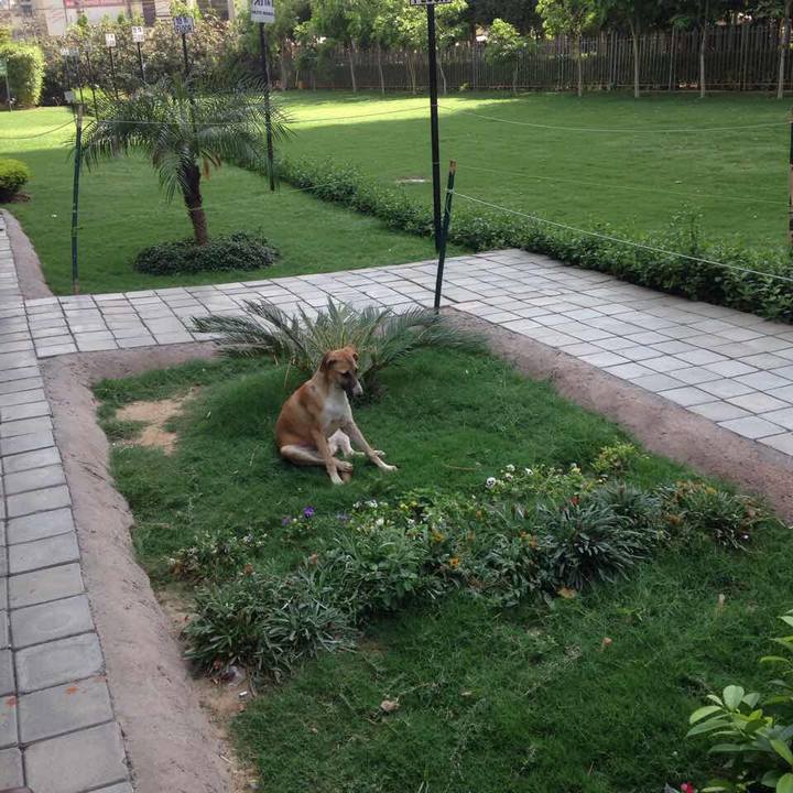 4828254d 95f0 4ab6 b0d4 24dbf2bf767e