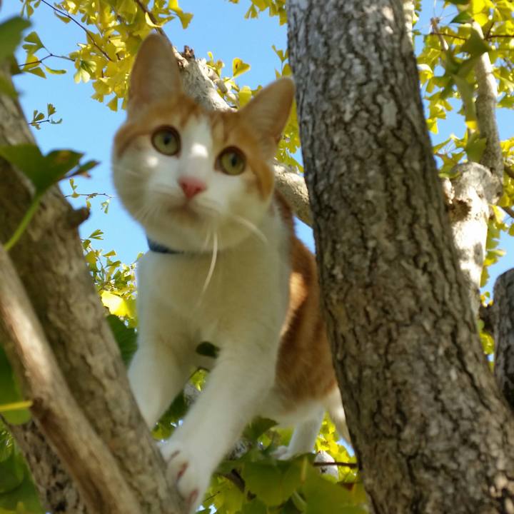 48291004 6008 4b4b 9d75 ff14daf259c7