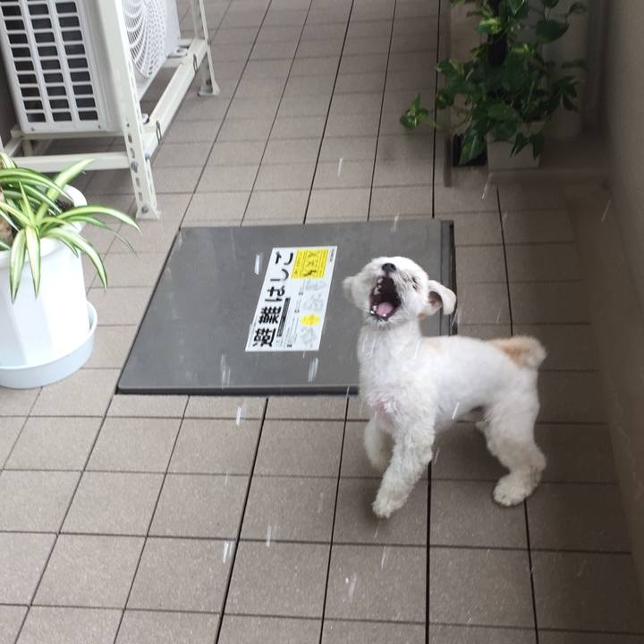 4829e1db fbae 4c98 9694 f2bdf2db9553