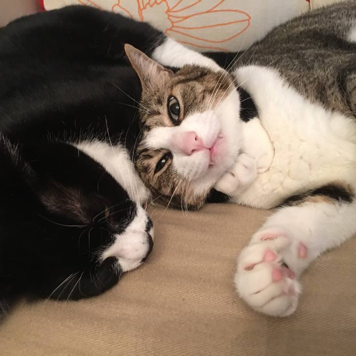 482a0c6d a10e 41e5 908c 601926b243ff