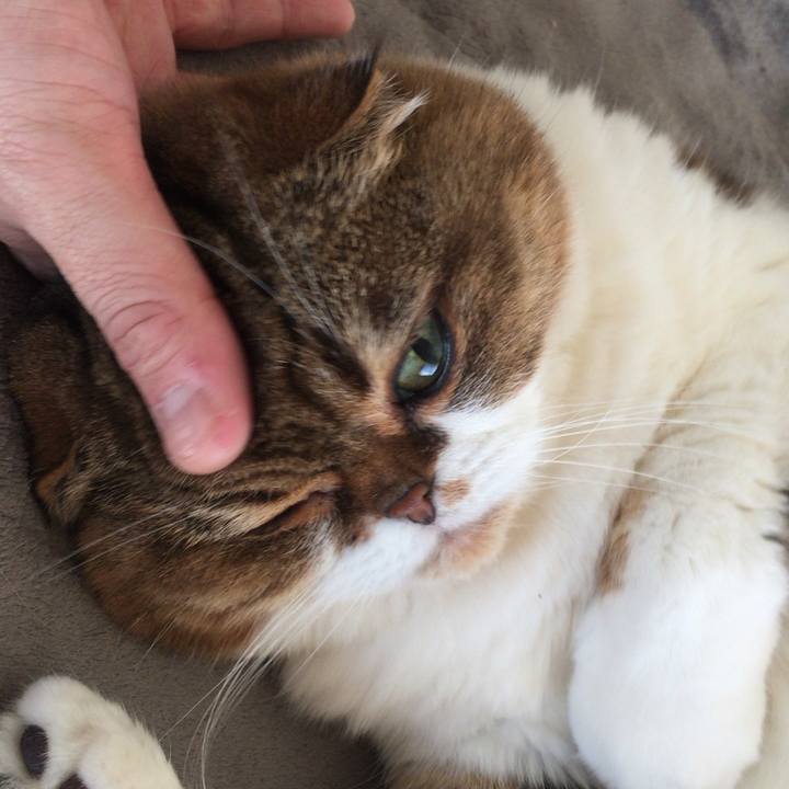 482a5652 59ca 42bd 9c66 904003e42974