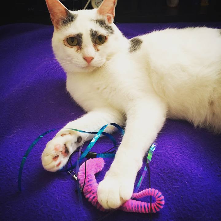 482a566c dc13 410d b05a 640432a0f027