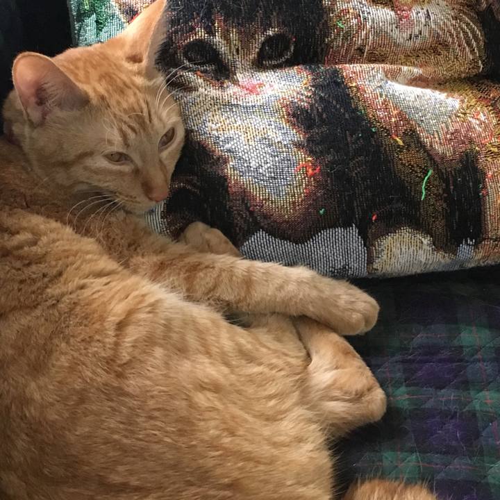 482a9236 429a 40ed 8d9f 5df70df57f79