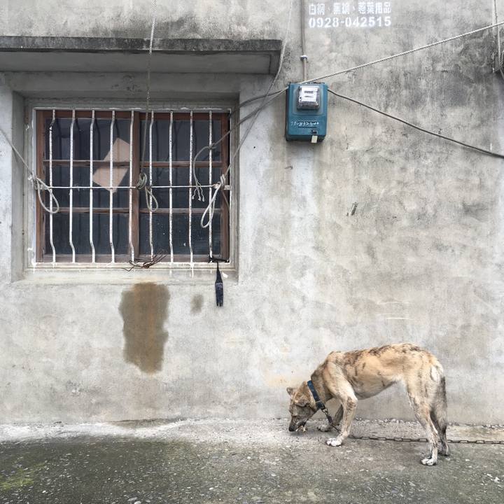 482b803c aeca 44d0 bcf9 5489e07f49ef