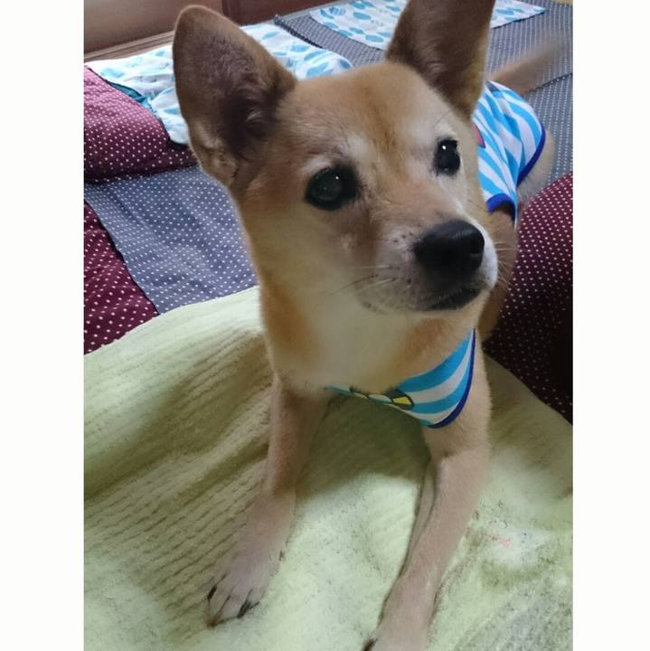 482c773f a63e 4c0c 9ce5 0315dfbefaf7