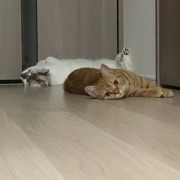 482d6378 87c5 4644 8f8d c05c690e6858