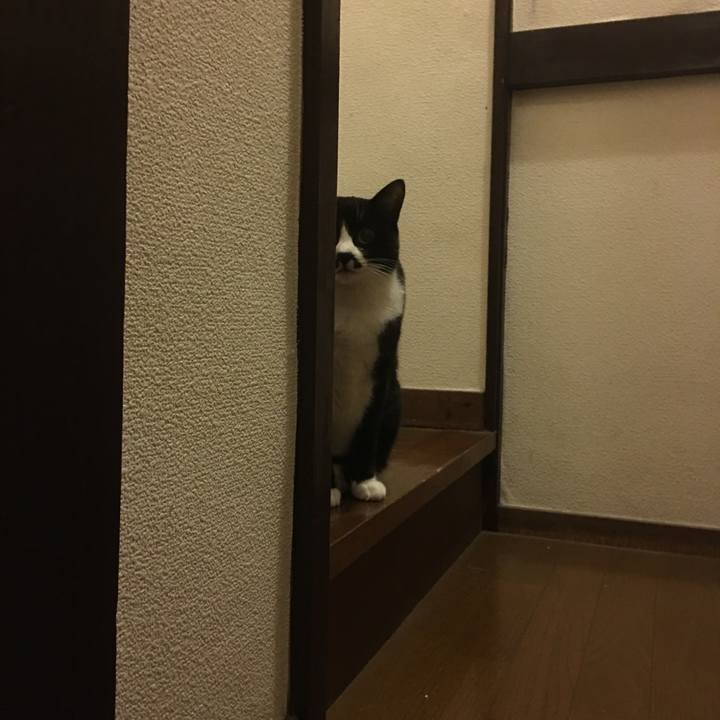 482d7c28 0b20 47d7 b0f4 83b84cfdd25d