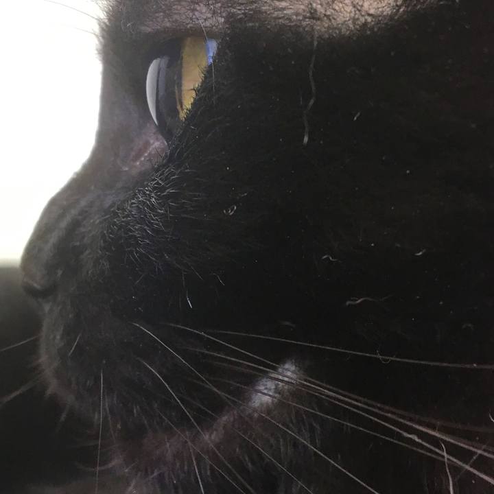 482d9699 5182 4537 a56e 1b89aabb0e03