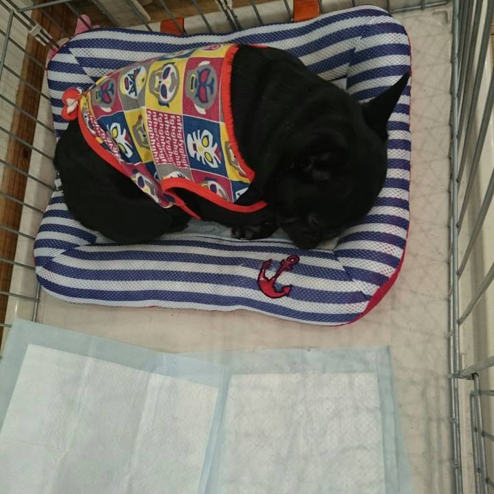 482da85e 73d5 4c2d 8cde 22ec11c575b6