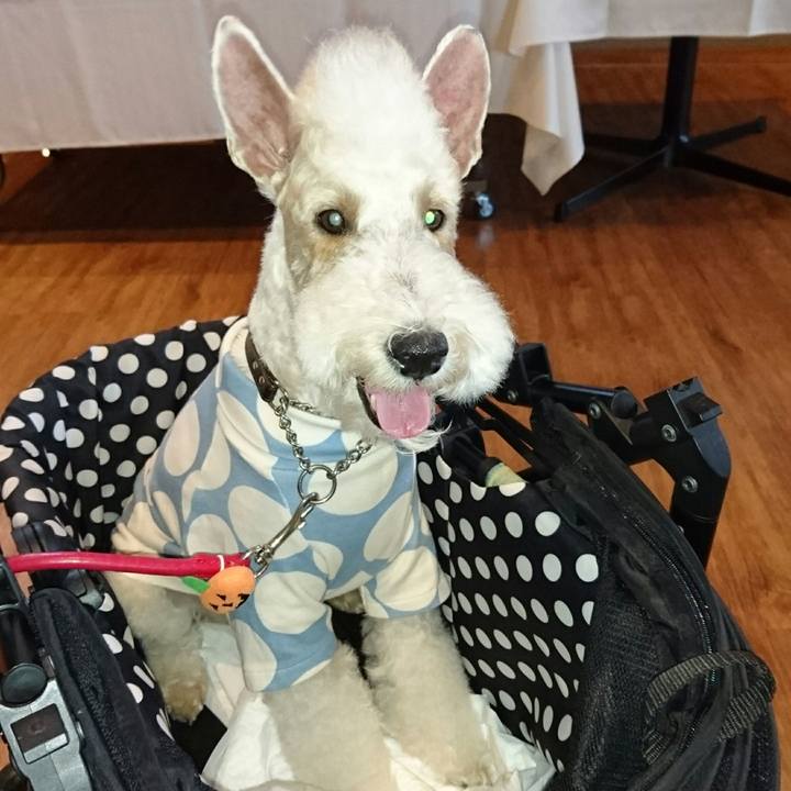 482ddecf aaa9 498d 85bf 5b43c8d8622a