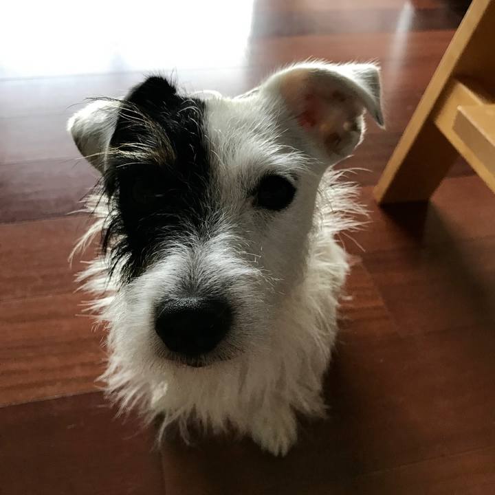 482e2f04 fc18 4139 811f 1f5eef8c020d